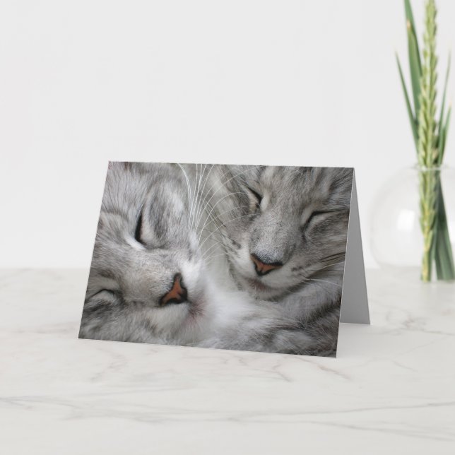 Tarjeta de cumpleaños del gato del bosque (Anverso)
