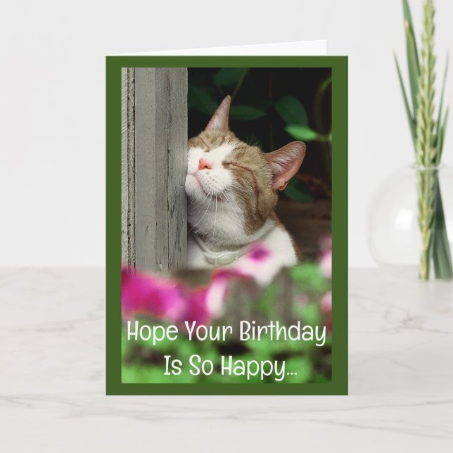 Tarjeta de cumpleaños del gato feliz (Anverso)