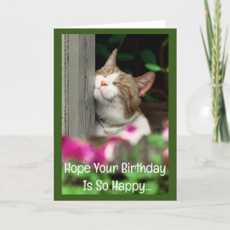 Tarjeta de cumpleaños del gato feliz