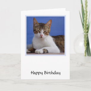 Tarjeta de cumpleaños del gato griego