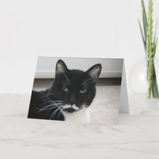 Tarjeta de cumpleaños del gato Humor Tuxedo ( plan