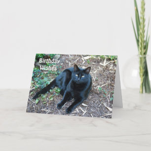 Tarjeta de cumpleaños del gato negro 1