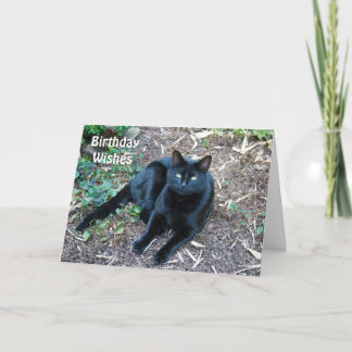 Tarjeta de cumpleaños del gato negro 1