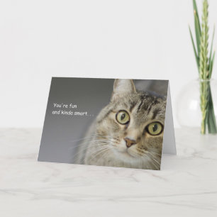 Tarjeta de cumpleaños del gato por foco por causa