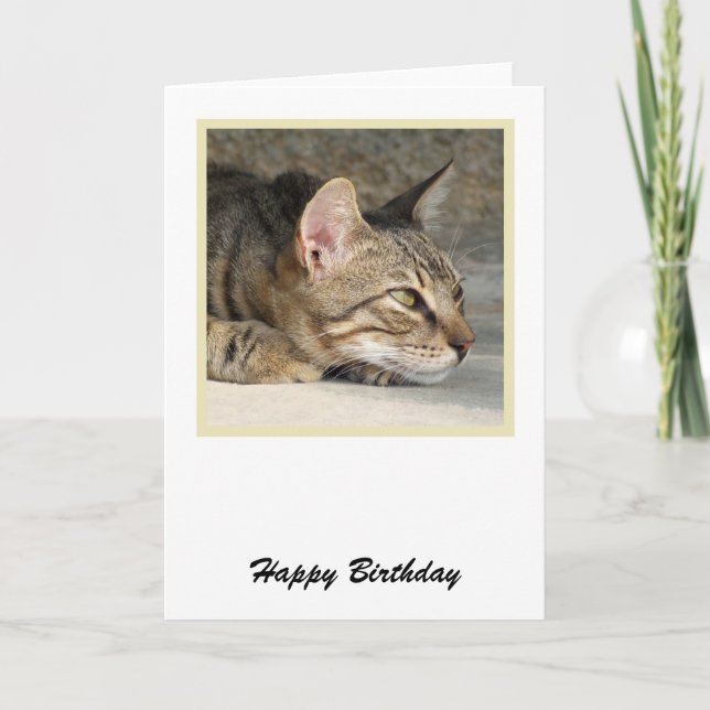 Tarjeta de cumpleaños del gato Tabby (Anverso)