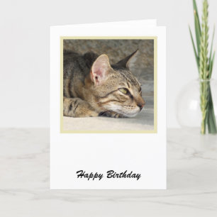 Tarjeta de cumpleaños del gato Tabby