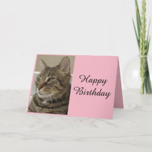Tarjeta de cumpleaños del gato Tabby