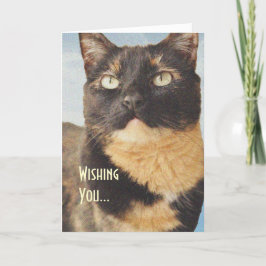 Tarjeta de cumpleaños del gato Tortoise Shell