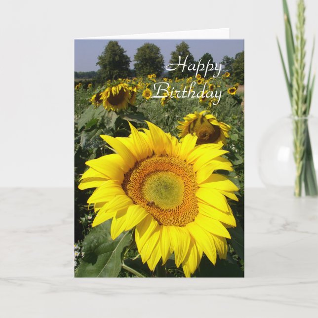 Tarjeta de cumpleaños del girasol (Anverso)