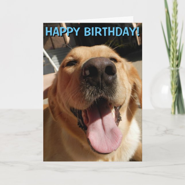 Tarjeta de cumpleaños del golden retriever (Anverso)