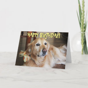 Tarjeta de cumpleaños del golden retriever