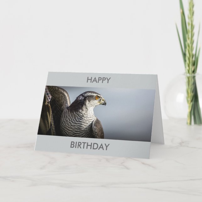 Tarjeta de cumpleaños del halcón de peregrino (Anverso)