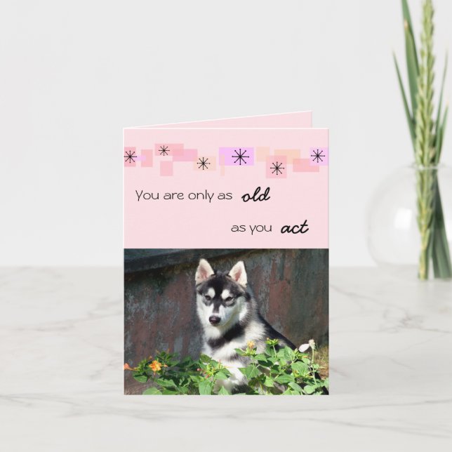 Tarjeta de cumpleaños del husky siberiano (Anverso)