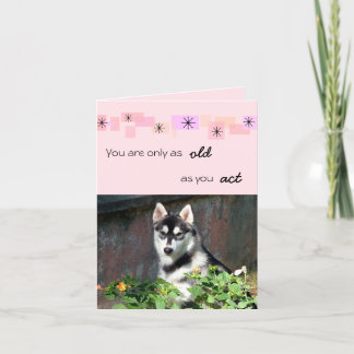 Tarjeta de cumpleaños del husky siberiano