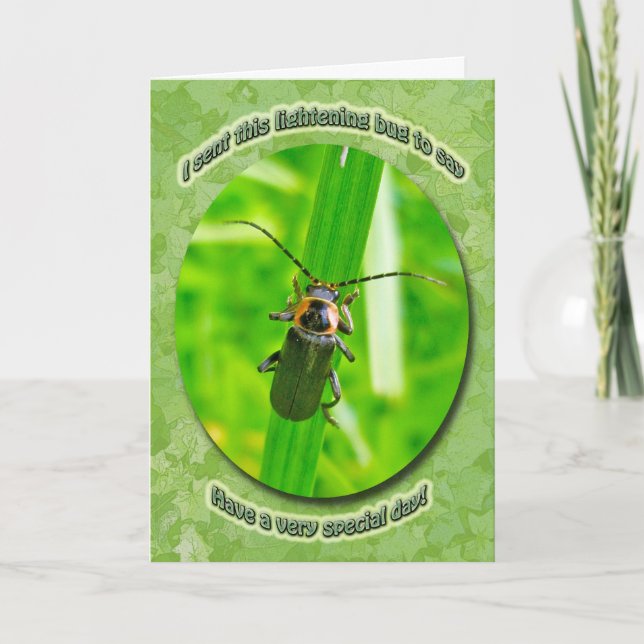 Tarjeta de cumpleaños del insecto del (Anverso)