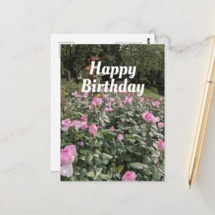 Tarjeta de cumpleaños del jardín de rosas rosadas