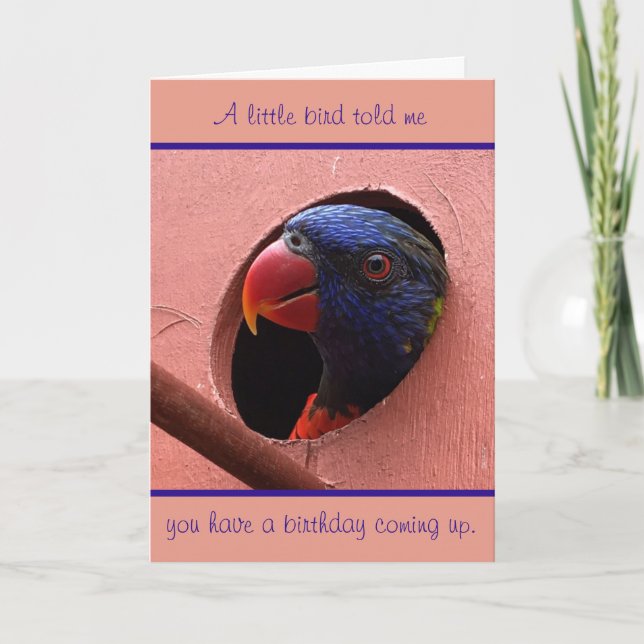 tarjeta de cumpleaños del lorikeet (Anverso)