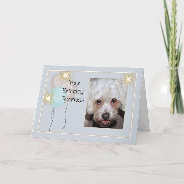 Tarjeta de cumpleaños del Mascota Lhasa Apso Dog (Anverso)