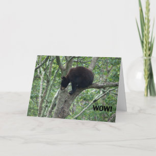 tarjeta de cumpleaños del oso del bebé