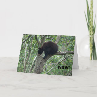 tarjeta de cumpleaños del oso del bebé