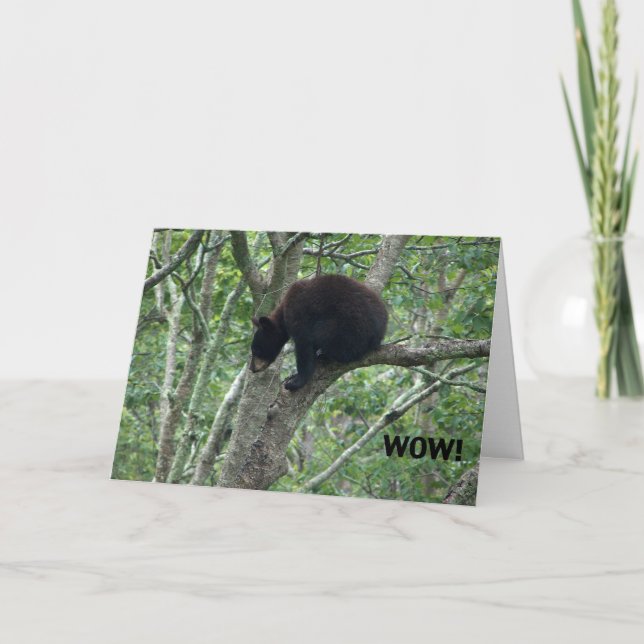 tarjeta de cumpleaños del oso del bebé (Anverso)