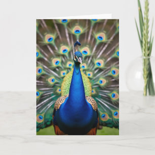 Tarjeta de cumpleaños del pájaro azul