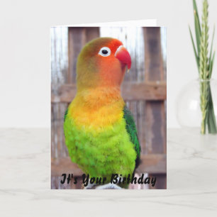 Tarjeta de cumpleaños del Parakeet