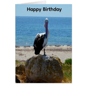 Tarjeta de cumpleaños del pelícano con la mirada