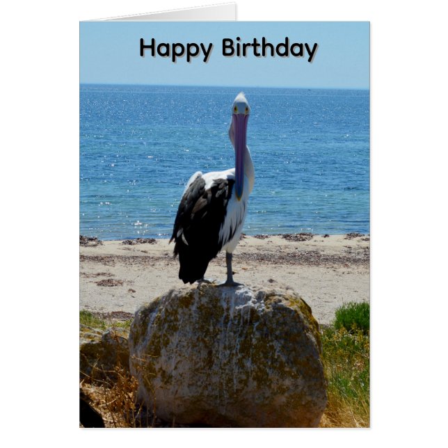 Tarjeta de cumpleaños del pelícano con la mirada (Frente)