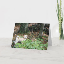 Tarjeta de cumpleaños del perrito