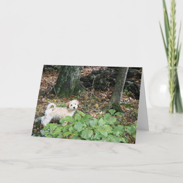 Tarjeta de cumpleaños del perrito (Anverso)