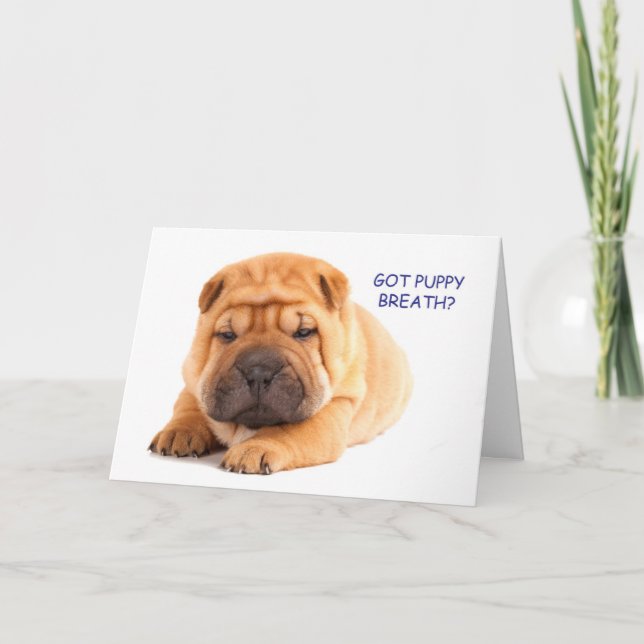 Tarjeta de cumpleaños del perrito de Shar Pei (Anverso)