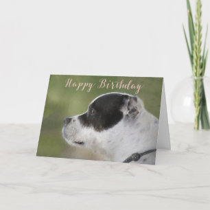 Tarjeta de cumpleaños del perrito de Staffie