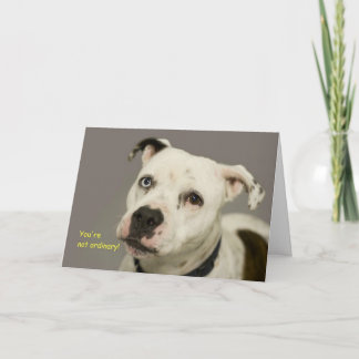 Tarjeta de cumpleaños del perro