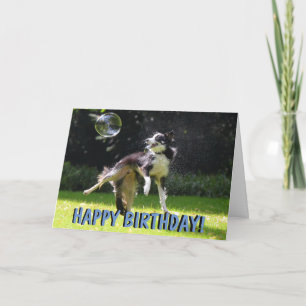Tarjeta de cumpleaños del perro de la red de borde