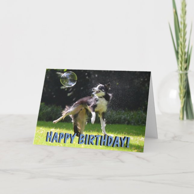 Tarjeta de cumpleaños del perro de la red de borde (Anverso)