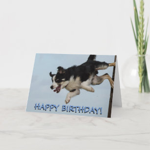 Tarjeta de cumpleaños del perro de la red de borde