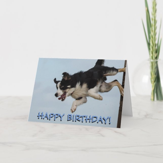Tarjeta de cumpleaños del perro de la red de borde (Anverso)
