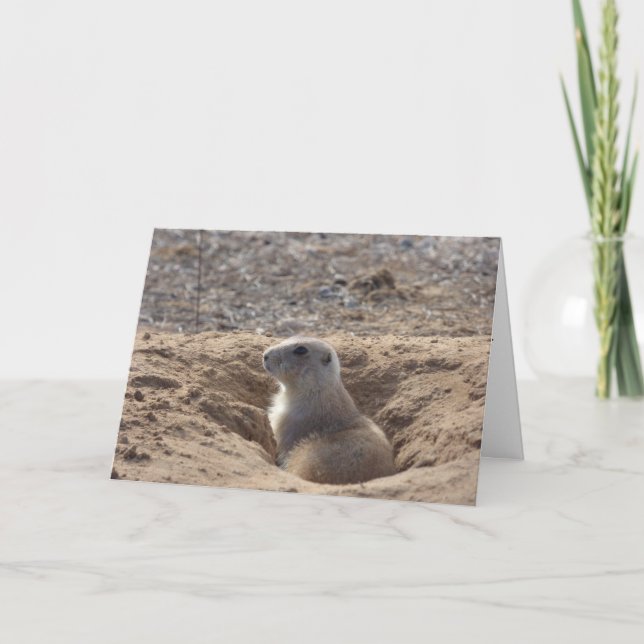 Tarjeta de cumpleaños del perro de las praderas (Anverso)