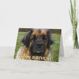 Tarjeta de cumpleaños del perro de Leonberger