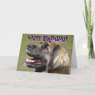 Tarjeta de cumpleaños del perro de Leonberger