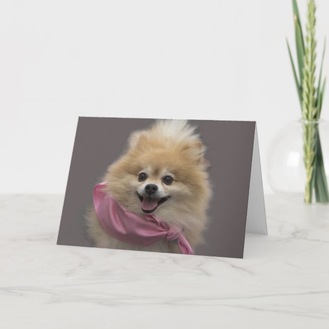 Tarjeta de cumpleaños del perro de Pomeranian por (Anverso)