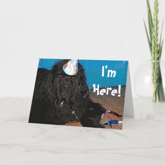 Tarjeta de cumpleaños del perro de Terranova (Anverso)