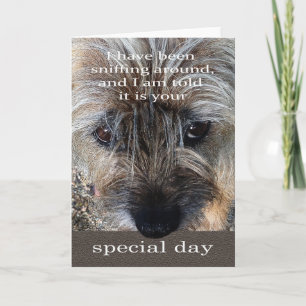 Tarjeta de cumpleaños del perro de Terrier de