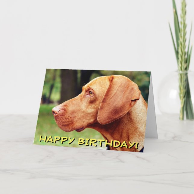 Tarjeta de cumpleaños del perro de Vizsla (Anverso)