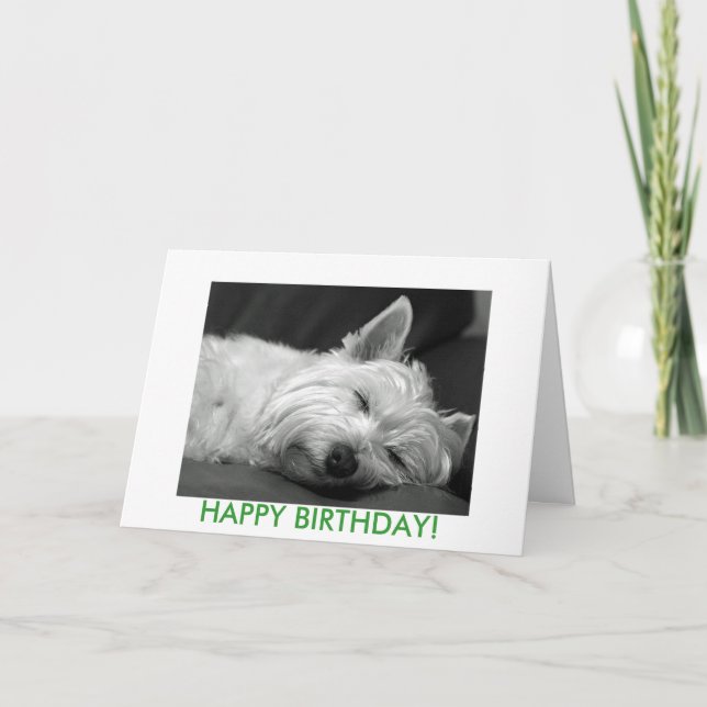 Tarjeta de cumpleaños del perro de Westie (Anverso)