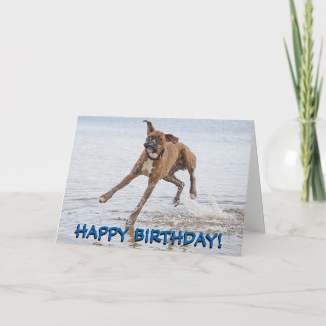 Tarjeta de cumpleaños del perro del boxeador (Anverso)