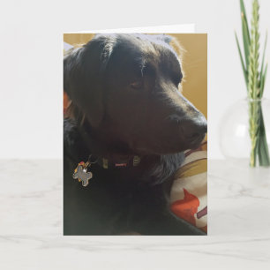 Tarjeta de cumpleaños del perro negro de Óscar