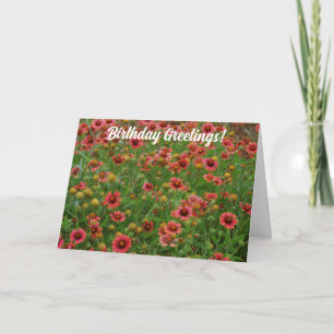 Tarjeta de cumpleaños del prado de flor de rueda d