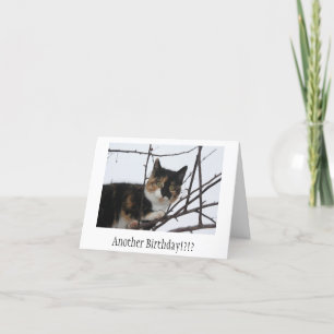 Tarjeta de cumpleaños del Ronroneo-fect